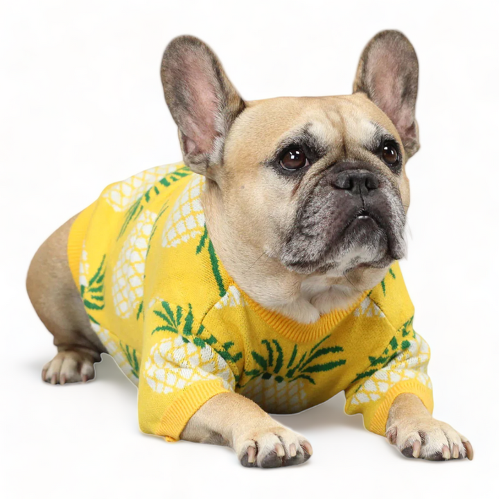 Pineapple Sweater