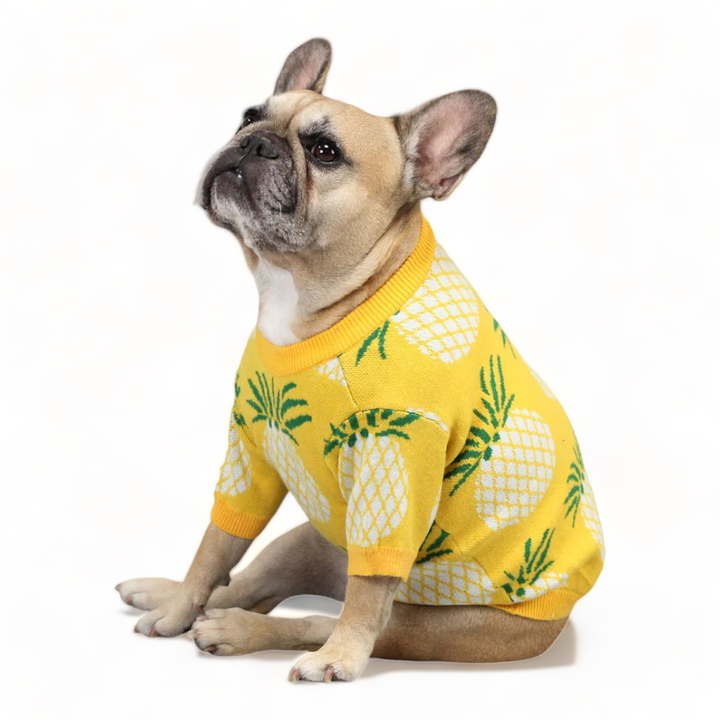 Pineapple Sweater
