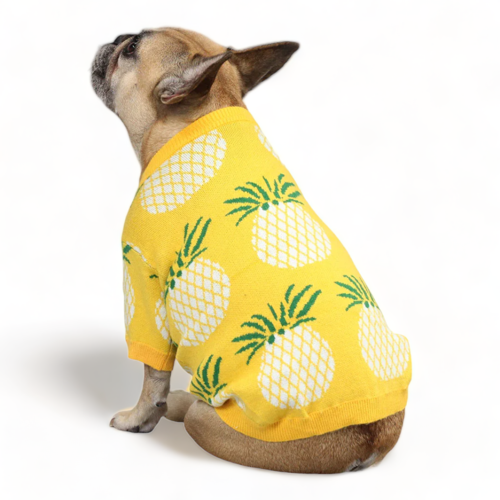 Pineapple Sweater