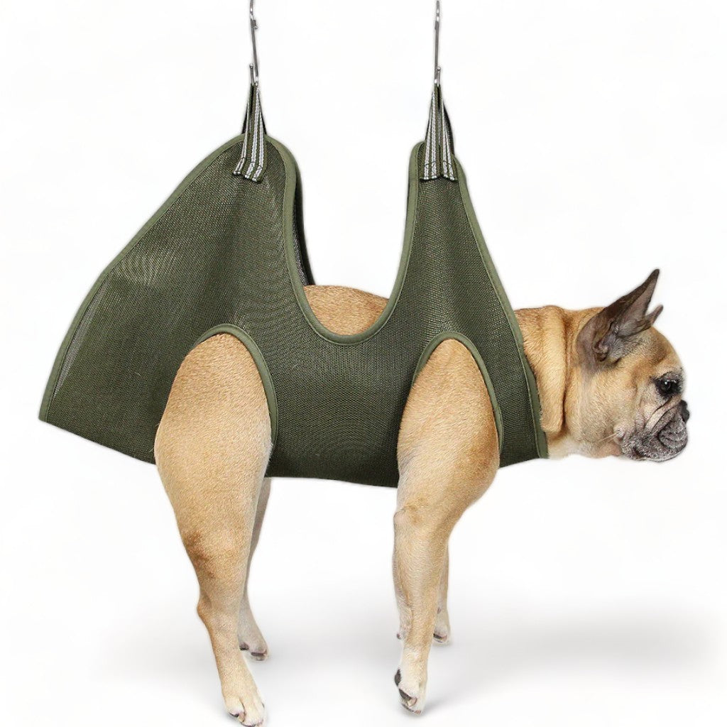 Nail Trim Dog Hair Salon Doggo Grooming Hammock – Griffin's Haru
