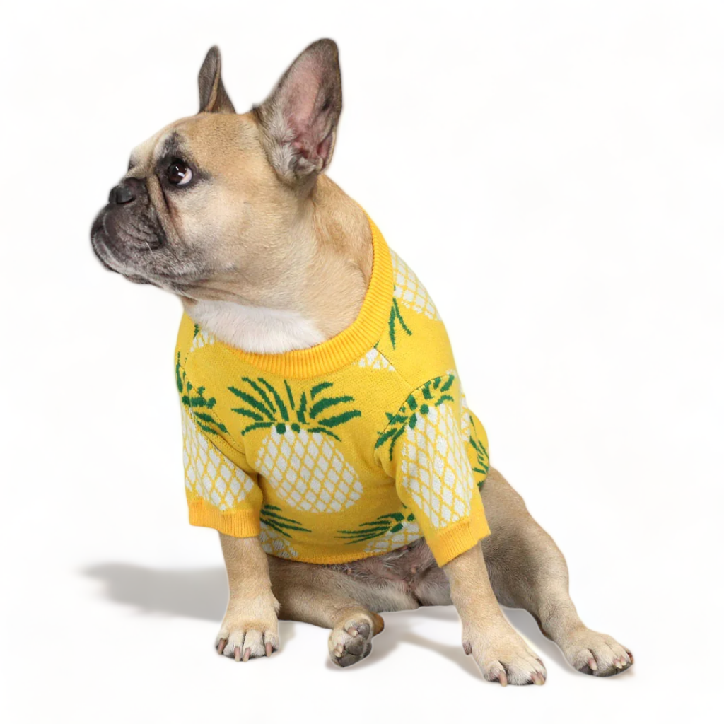 Pineapple Sweater