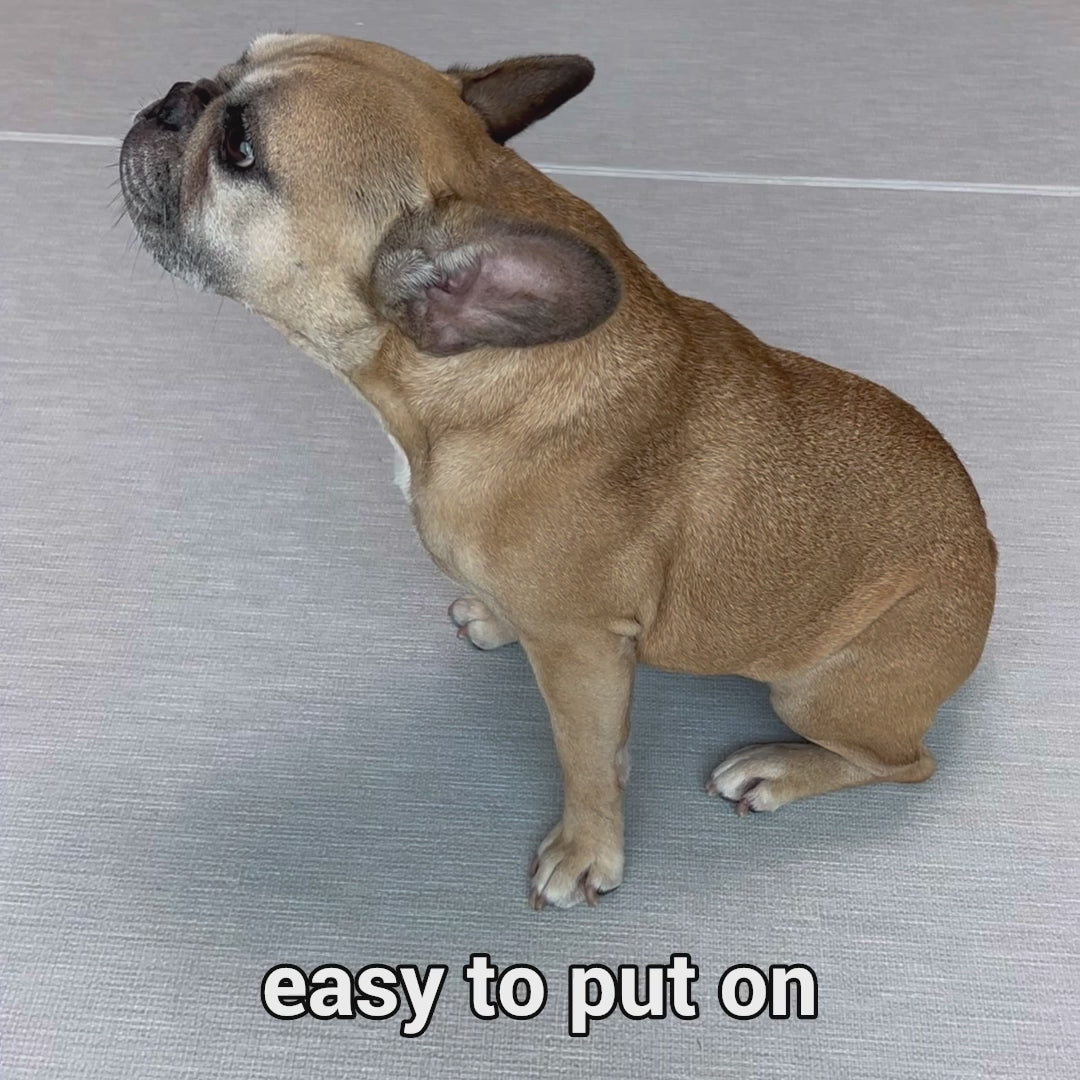 Double Strap Easy Peasy Harness - Rainbow