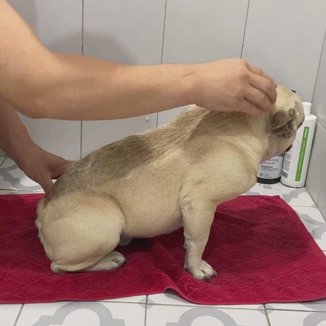 Smart Doggo Massage Brush