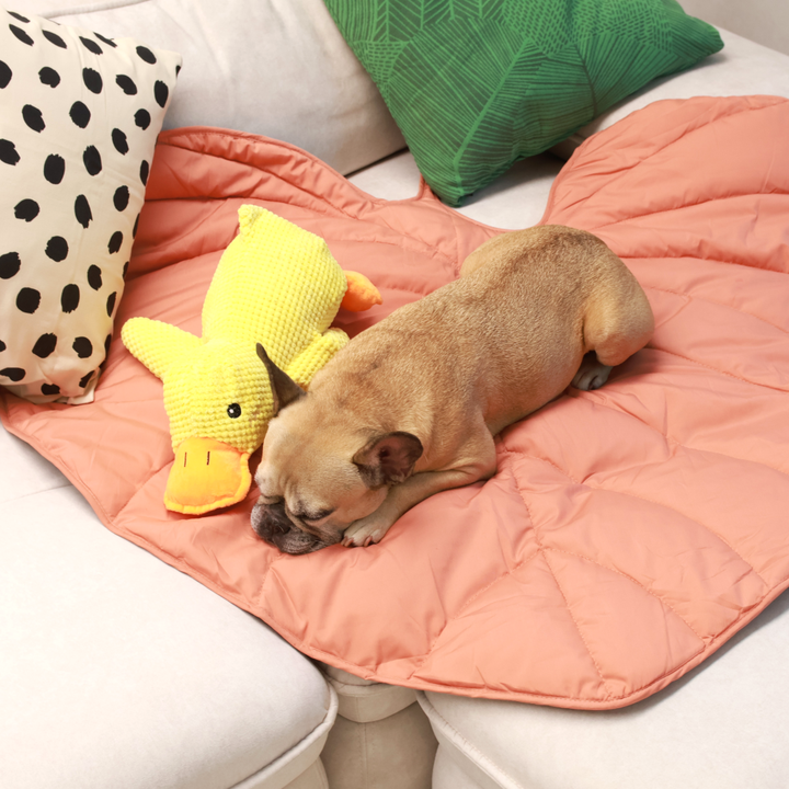 Cozy Combo (Mellow Mat + Calming Duck)