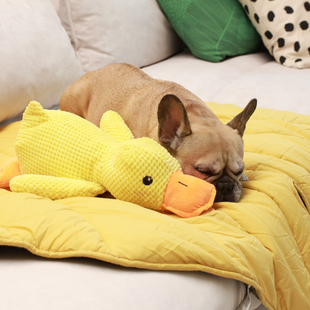 Cozy Combo (Mellow Mat + Calming Duck)