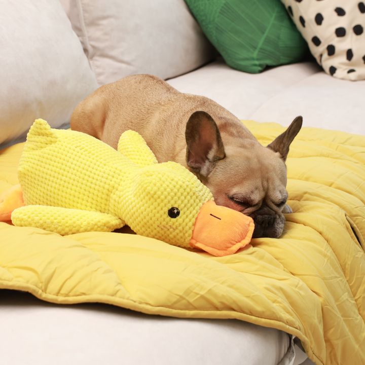 Cozy Combo (Mellow Mat + Calming Duck)