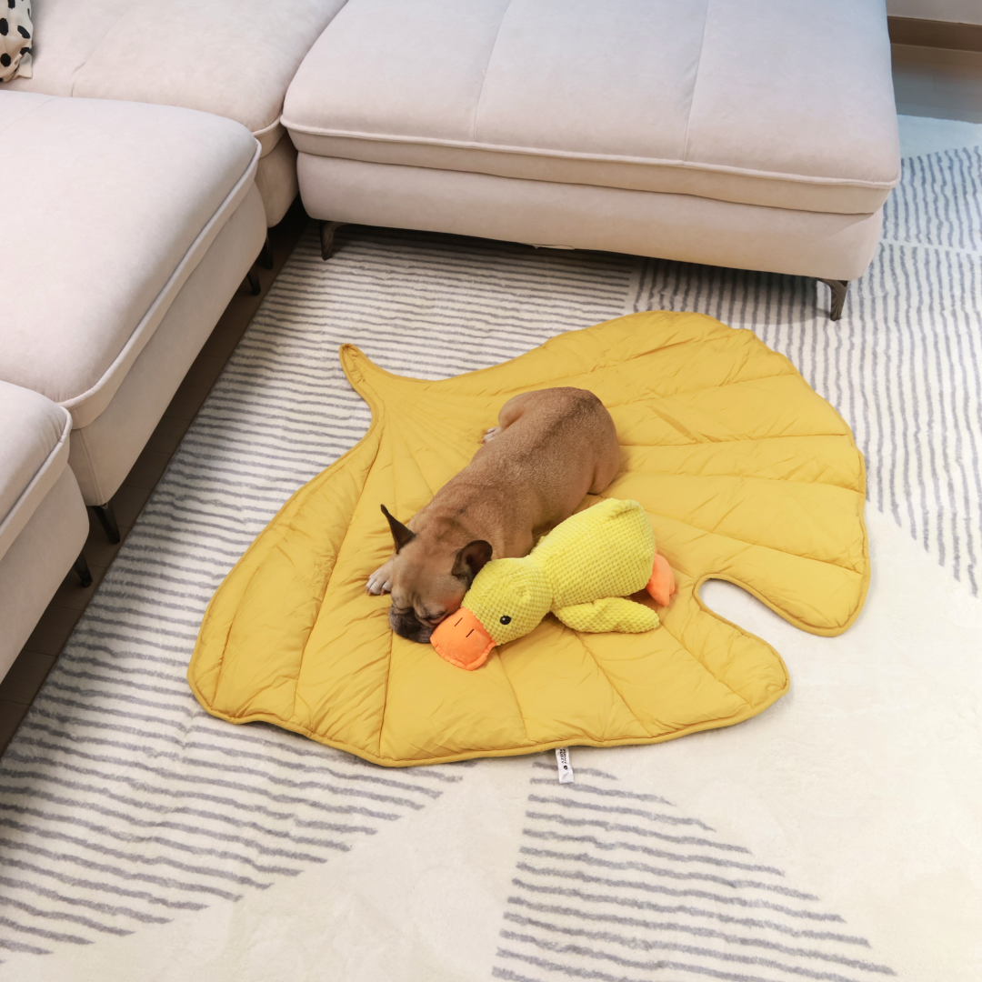 Cozy Combo (Mellow Mat + Calming Duck)