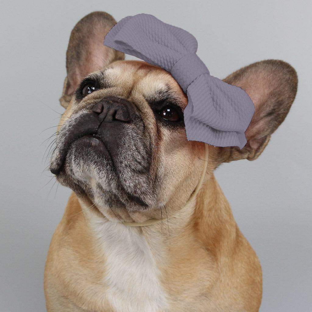 Haru's Best Bow Cloud Gray (6567649378438)