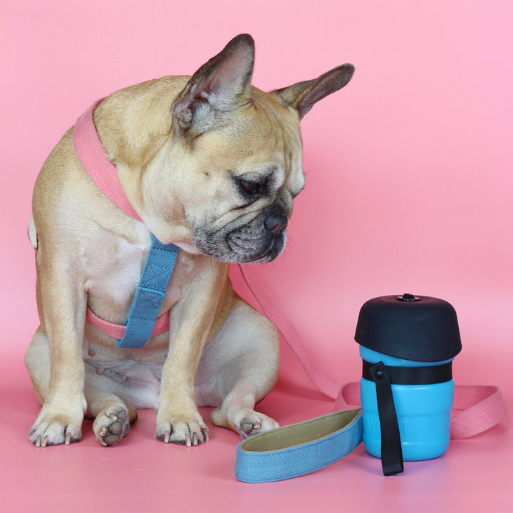 Pink/Sky Blue Easy Peasy Harness Set (6547456688262)