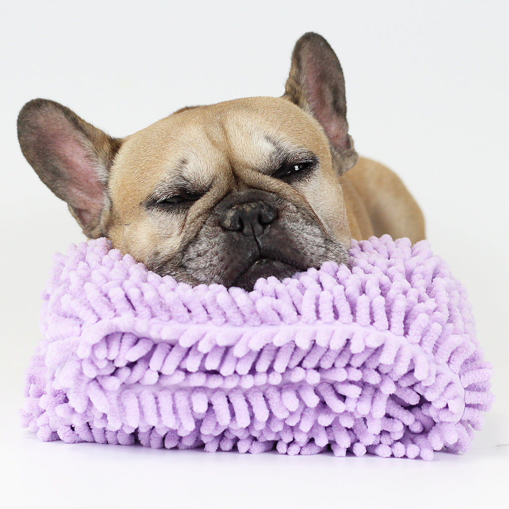 BEST Doggo Towel
