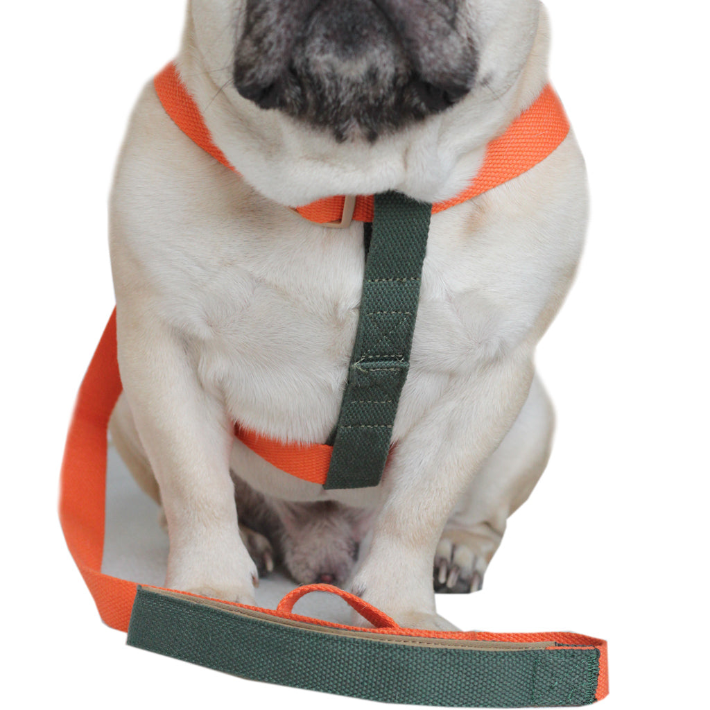 Olive/Orange Easy Peasy Harness Set (6547456983174)
