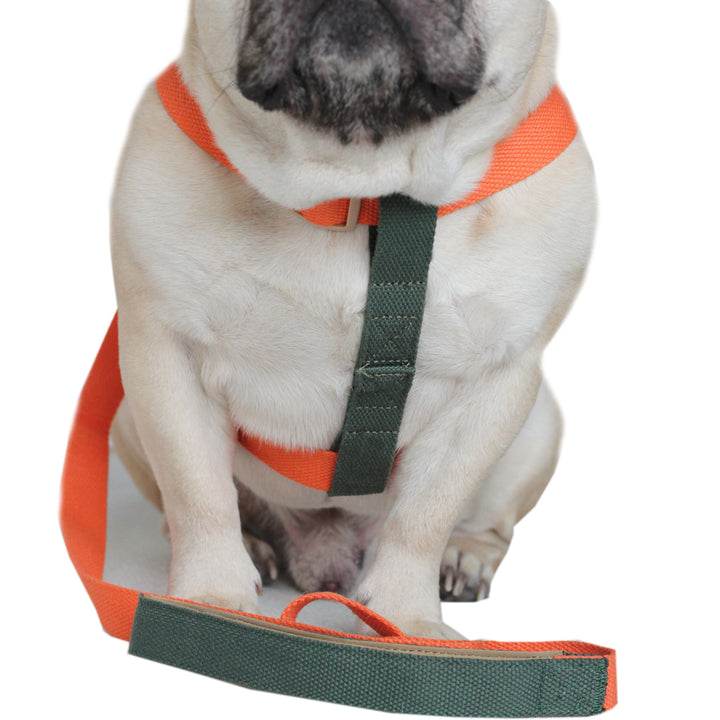 Olive/Orange Easy Peasy Harness Set (6547456983174)