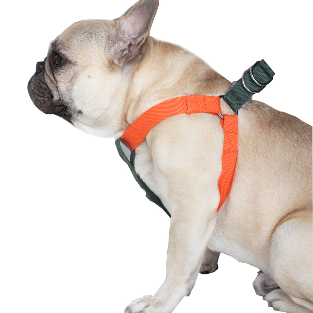 Olive/Orange Easy Peasy Harness Set (6547456983174)