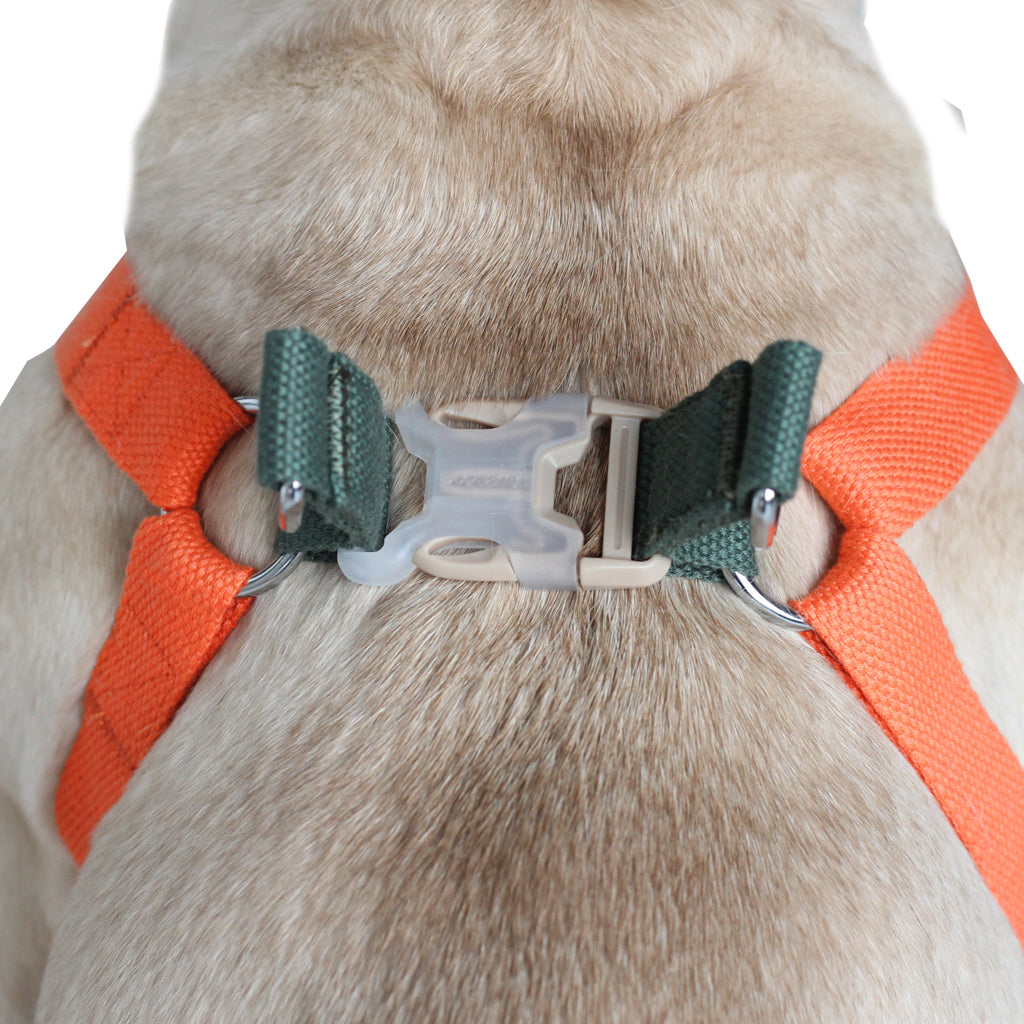 Olive/Orange Easy Peasy Harness Set (6547456983174)