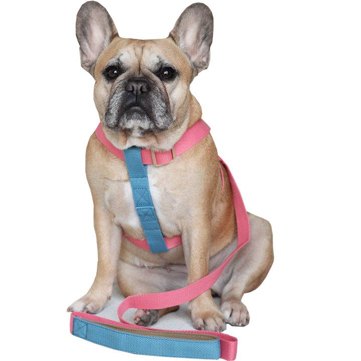 Pink/Sky Blue Easy Peasy Harness Set (6547456688262)