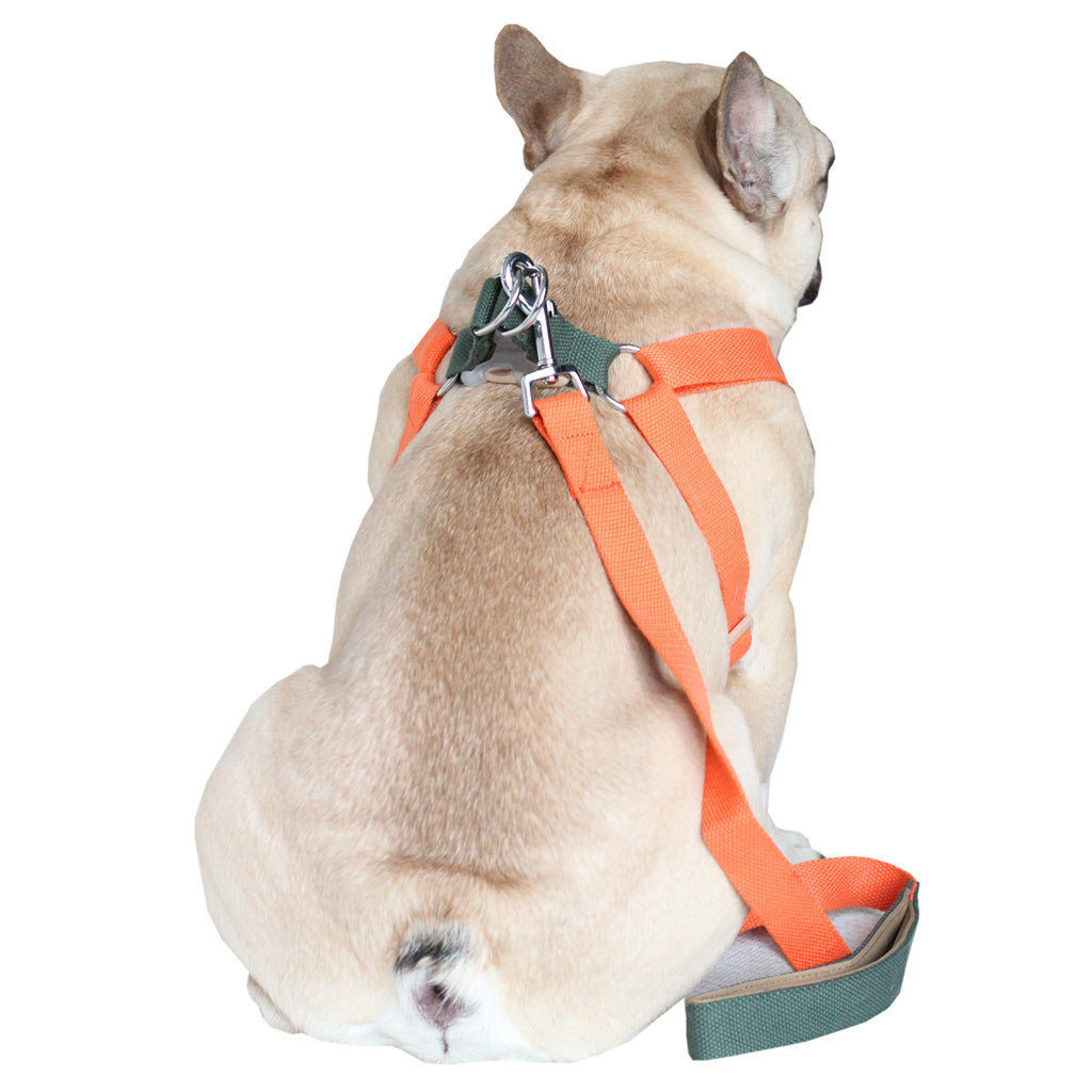 Olive/Orange Easy Peasy Harness Set (6547456983174)