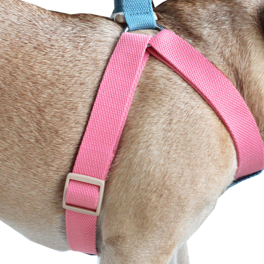 Pink/Sky Blue Easy Peasy Harness Set (6547456688262)