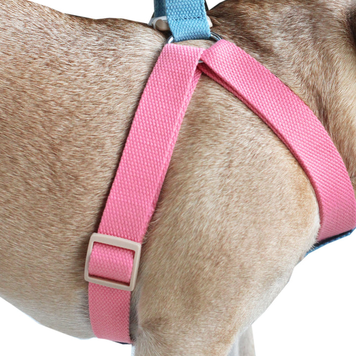 Pink/Sky Blue Easy Peasy Harness Set (6547456688262)