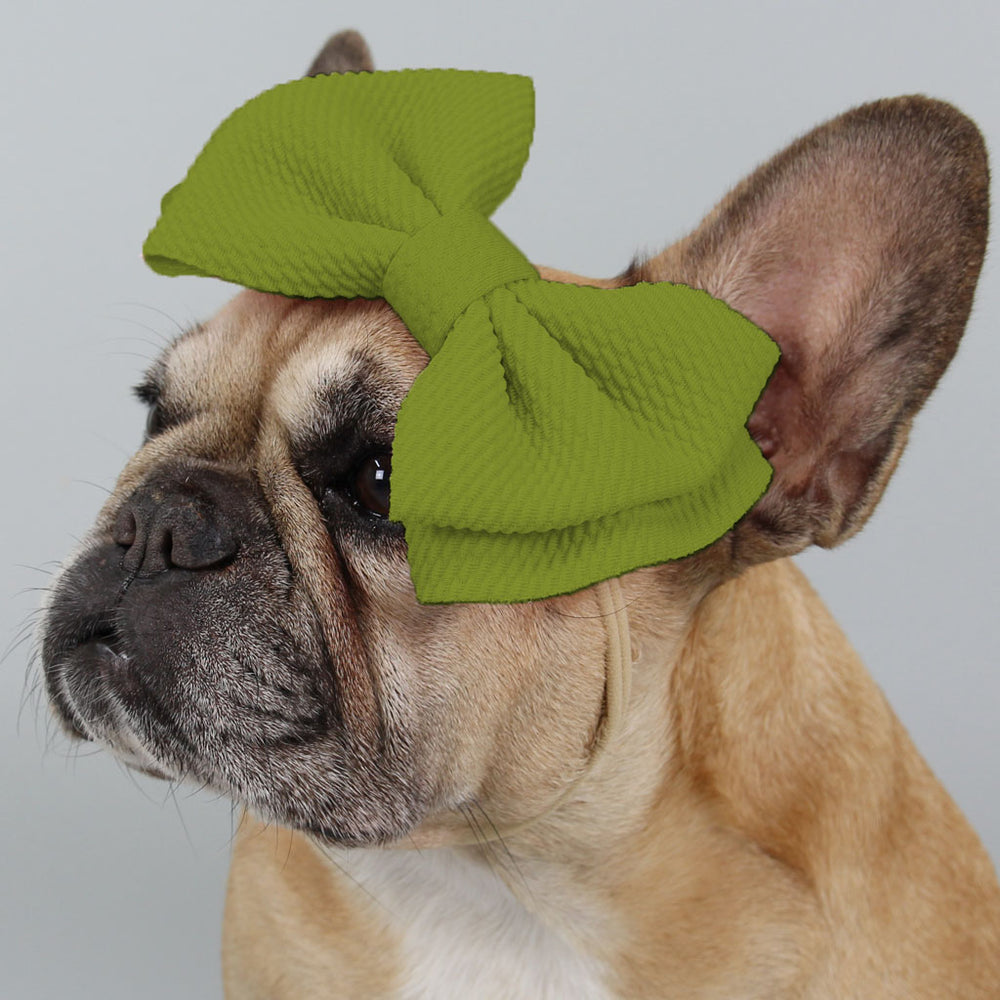 Haru's Best Bow Olive (6571201364102)
