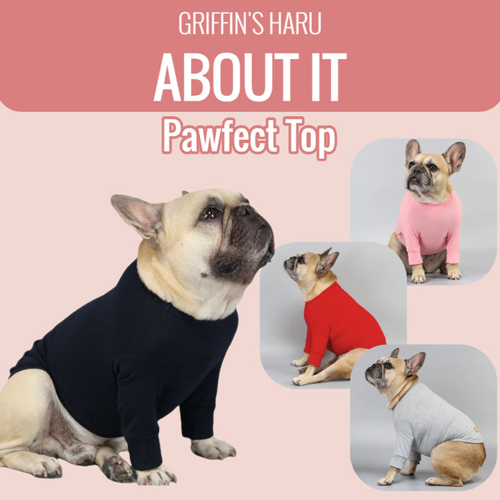 Pawfect Storm Gray Top