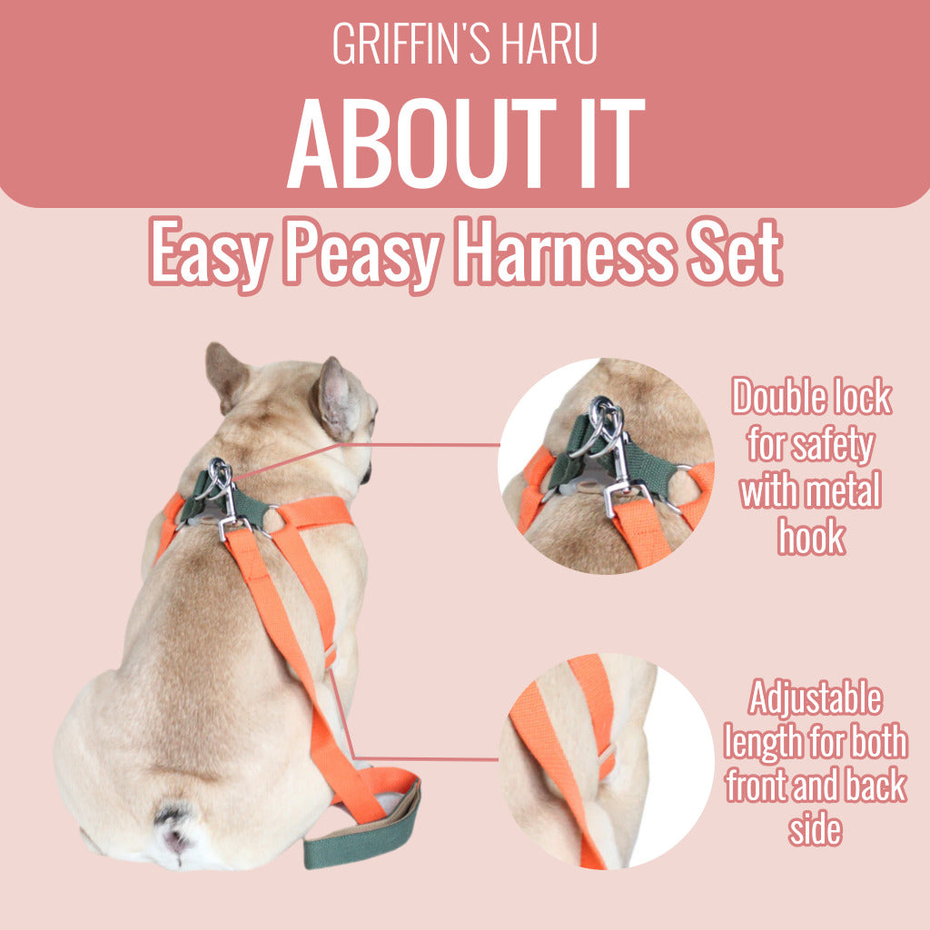Cherry Plum/Gray Easy Peasy Harness Set