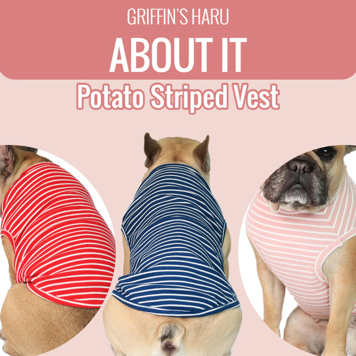 Blue Potato Striped Vest
