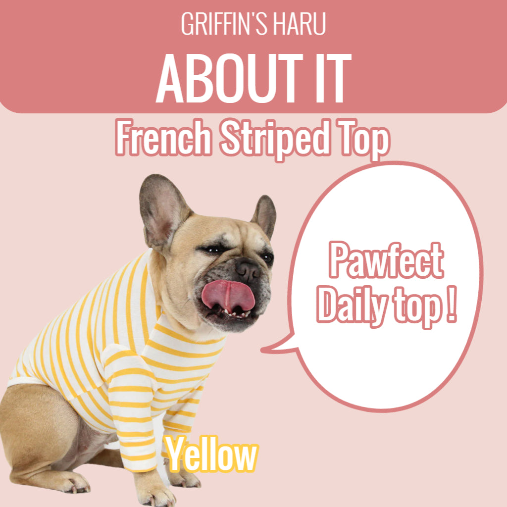 Yellow French Striped Top
