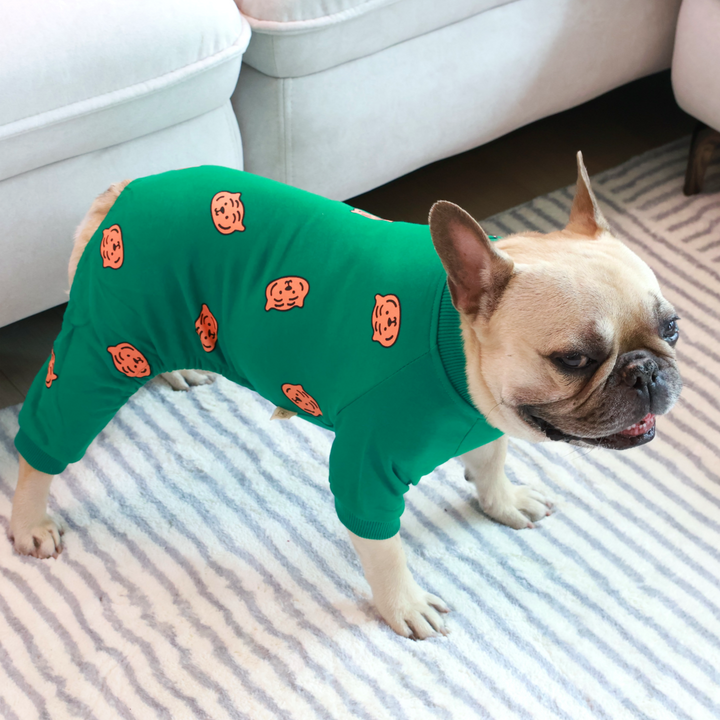 Comfy Tiger Green Jammies