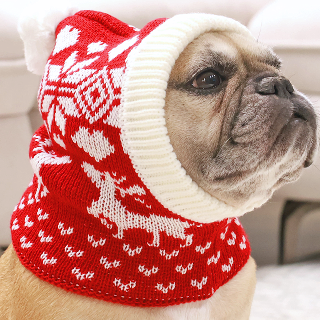 Cute Christmas Deer Beanie