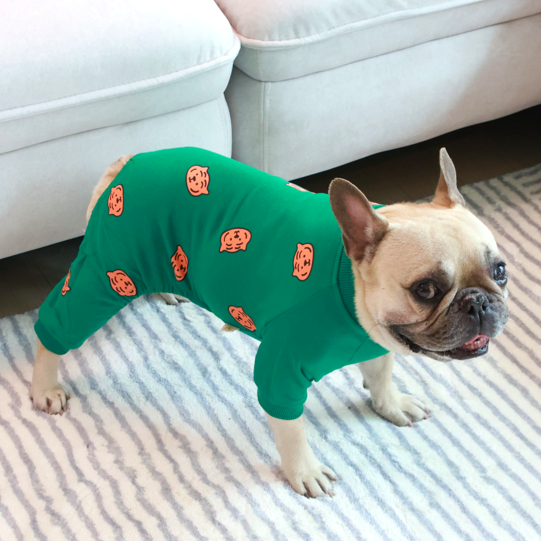 Comfy Tiger Green Jammies