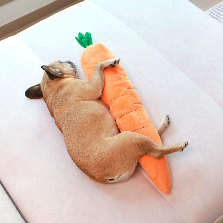 Calming Carrot