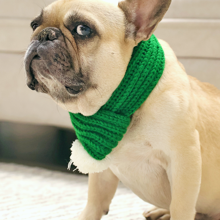 Christmas Scarf