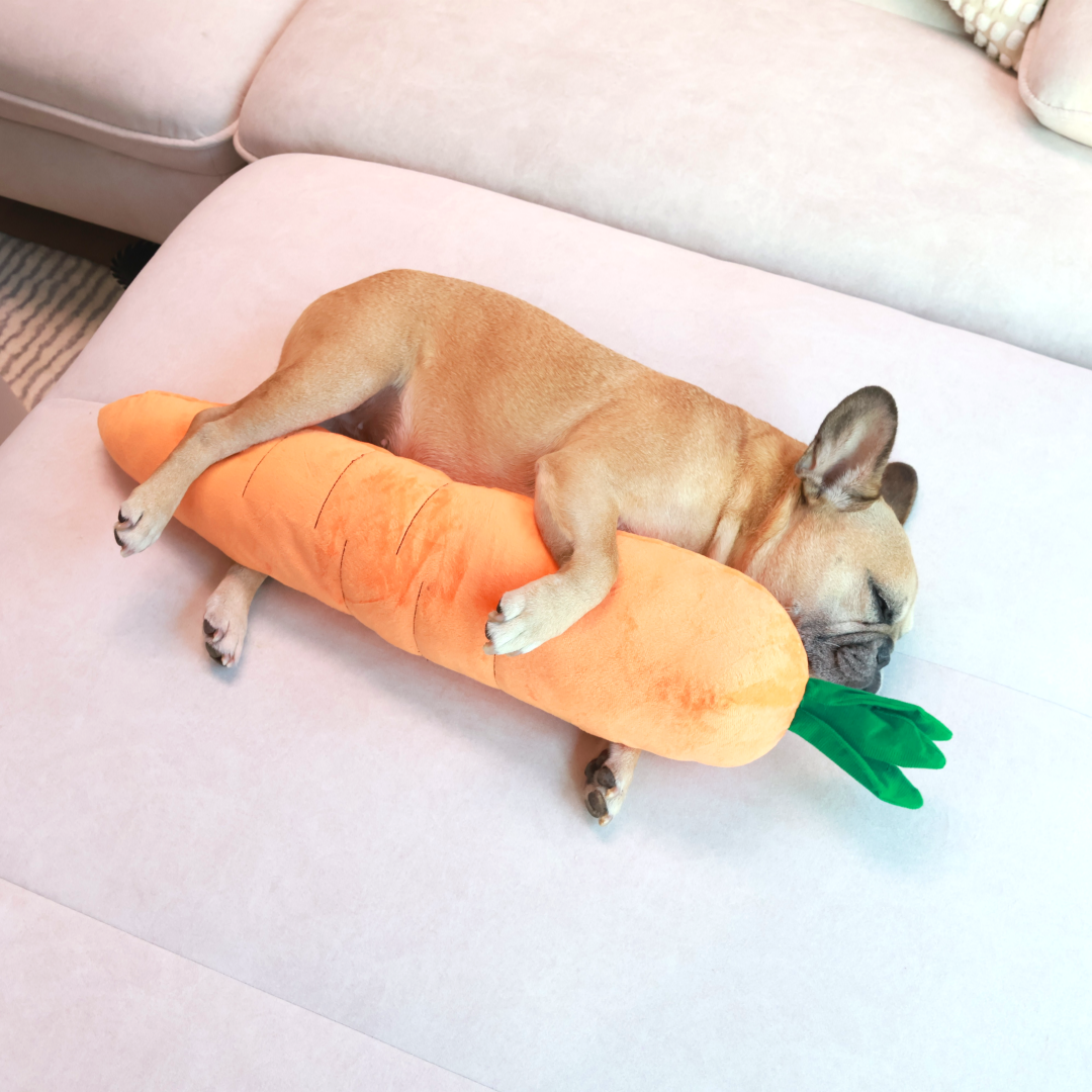 Calming Carrot