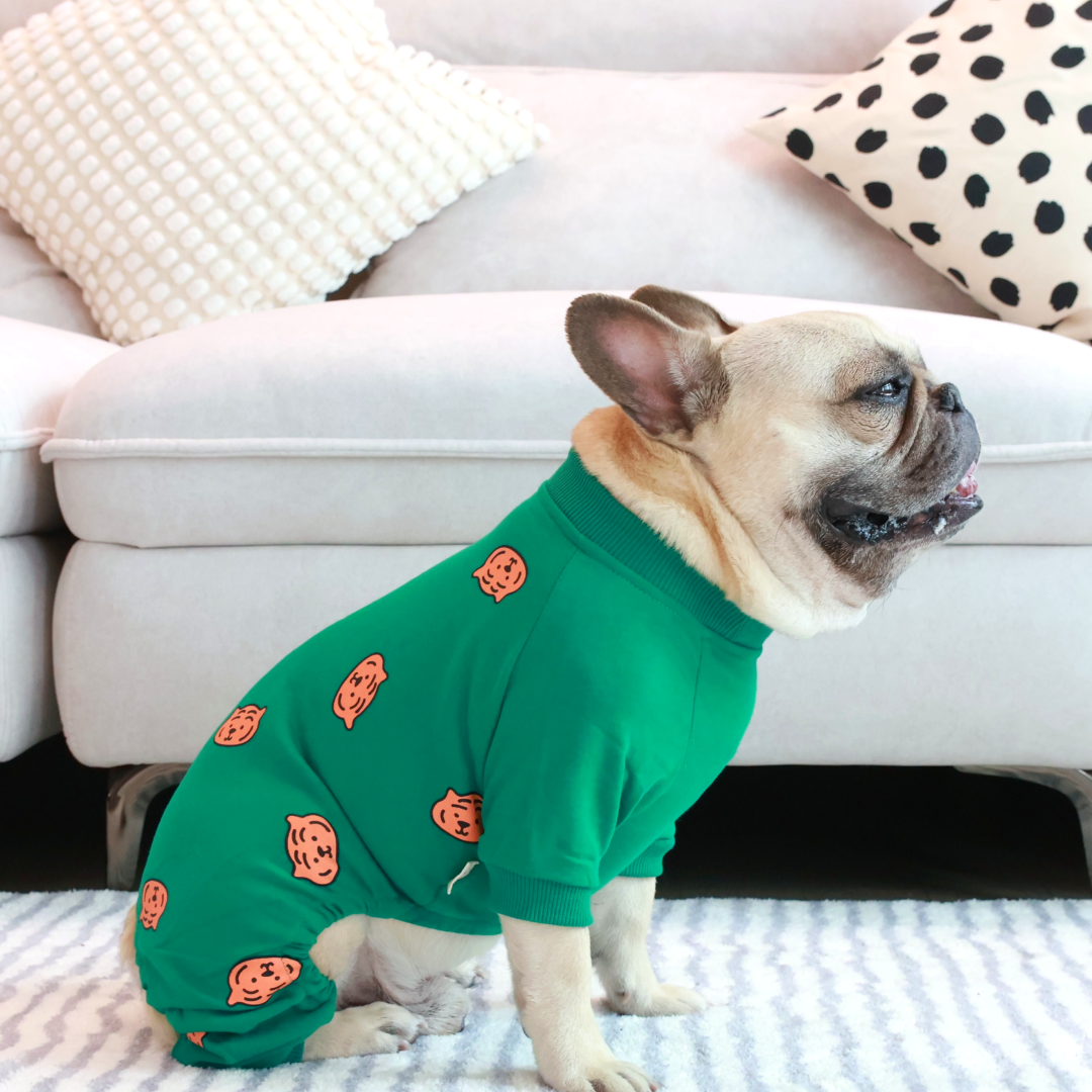 Comfy Tiger Green Jammies