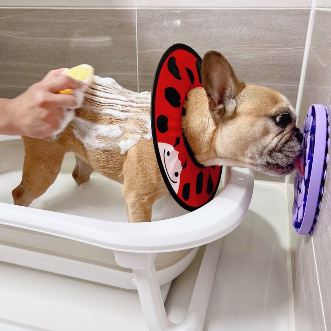 Happy Bath Bundle