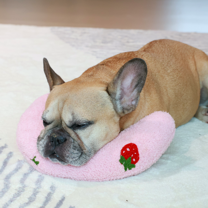 Soothing Pet Pillow - Fruit