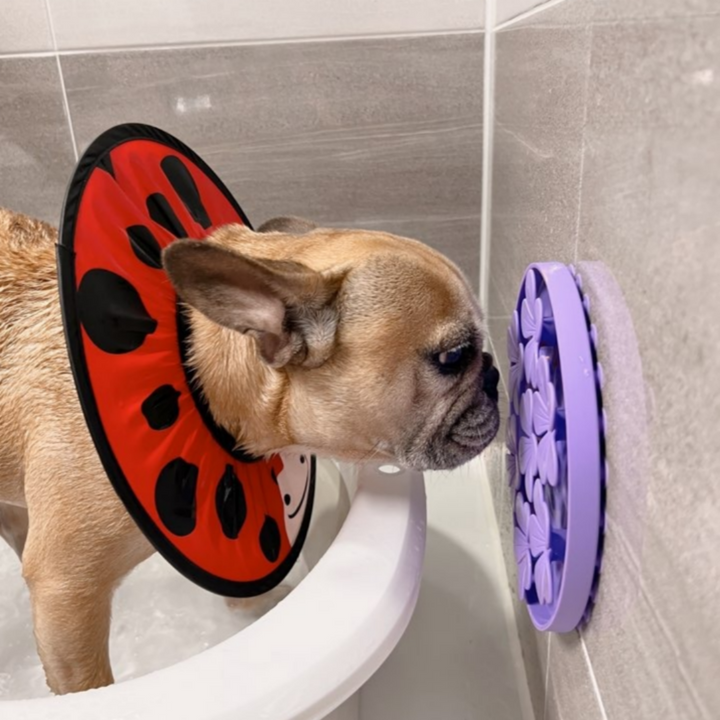 Happy Bath Bundle