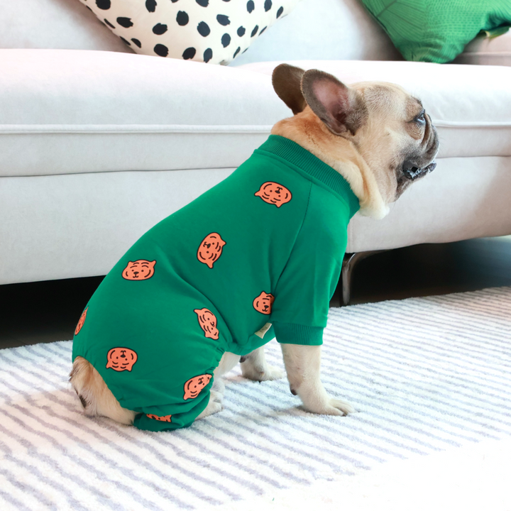 Comfy Tiger Green Jammies