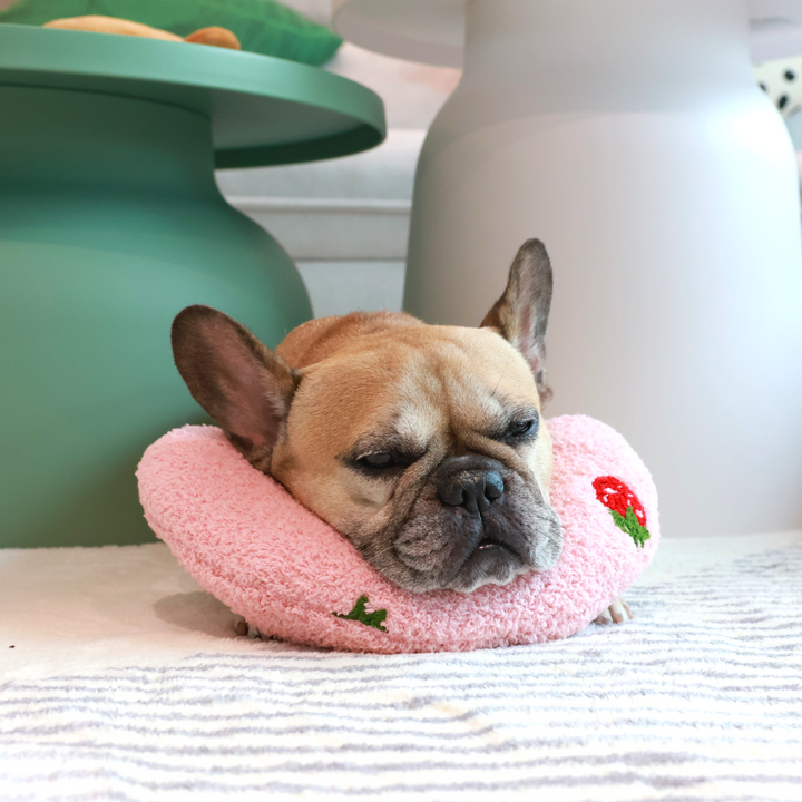 Soothing Pet Pillow - Fruit