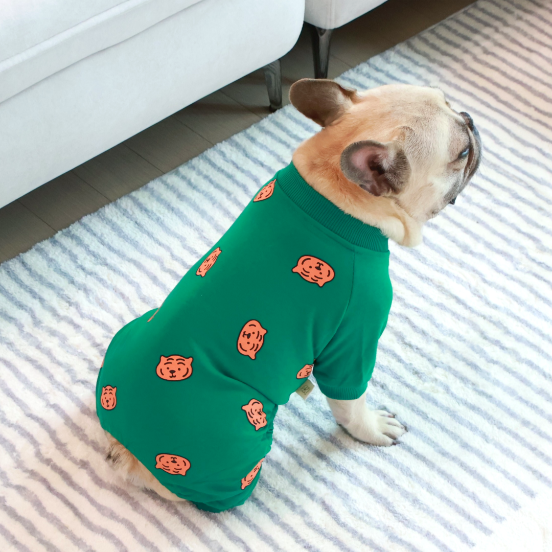 Comfy Tiger Green Jammies