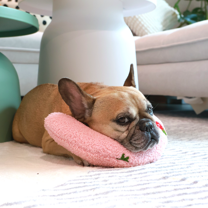 Soothing Pet Pillow - Fruit