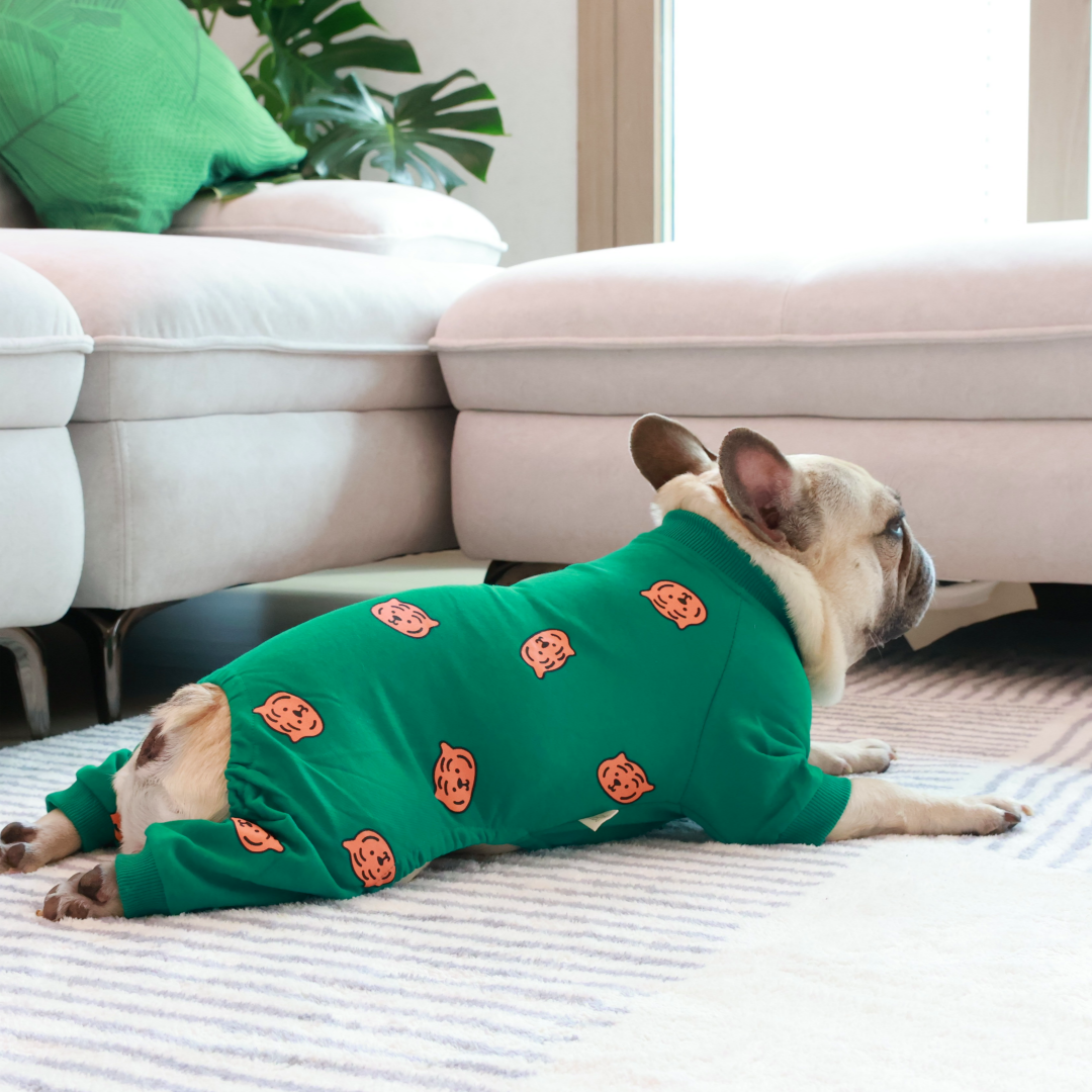 Comfy Tiger Green Jammies