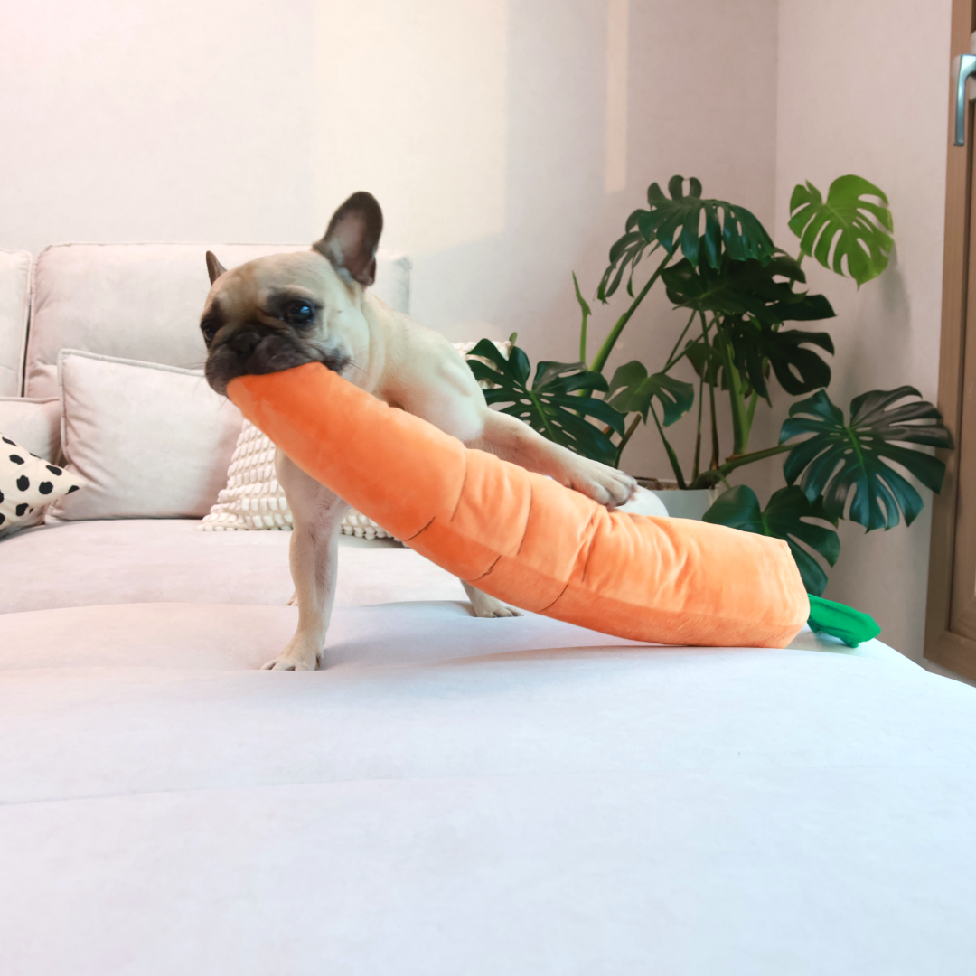 Calming Carrot