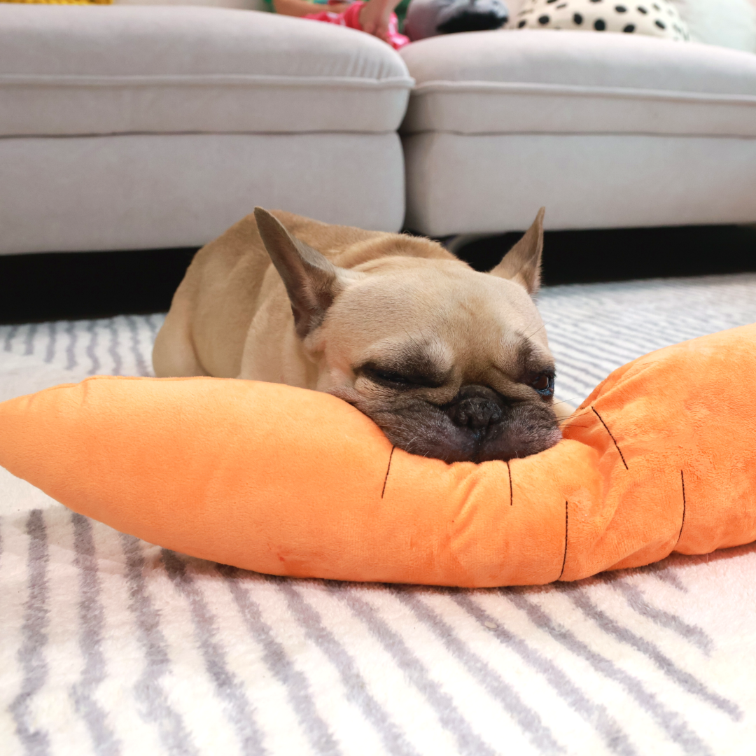 Calming Carrot