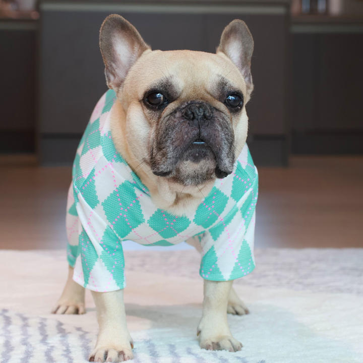 Royal Argyle Soft Pajamas - Turquoise