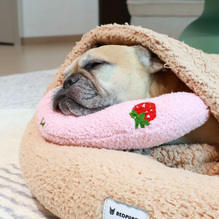 Soothing Pet Pillow - Fruit