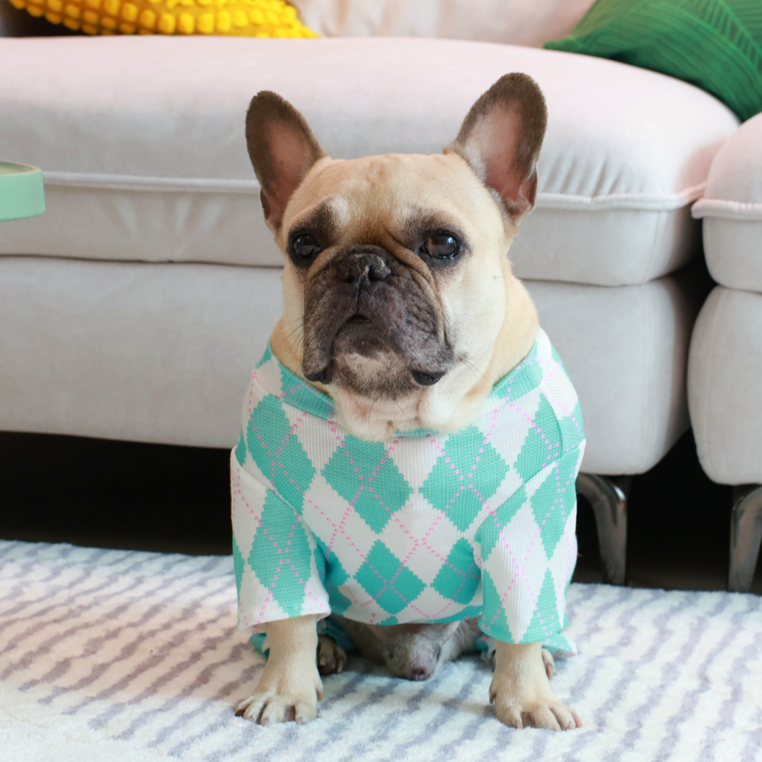 Royal Argyle Soft Pajamas - Turquoise