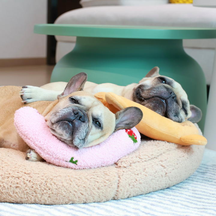 Soothing Pet Pillow - Fruit