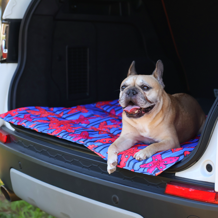 Calming Travel Mat