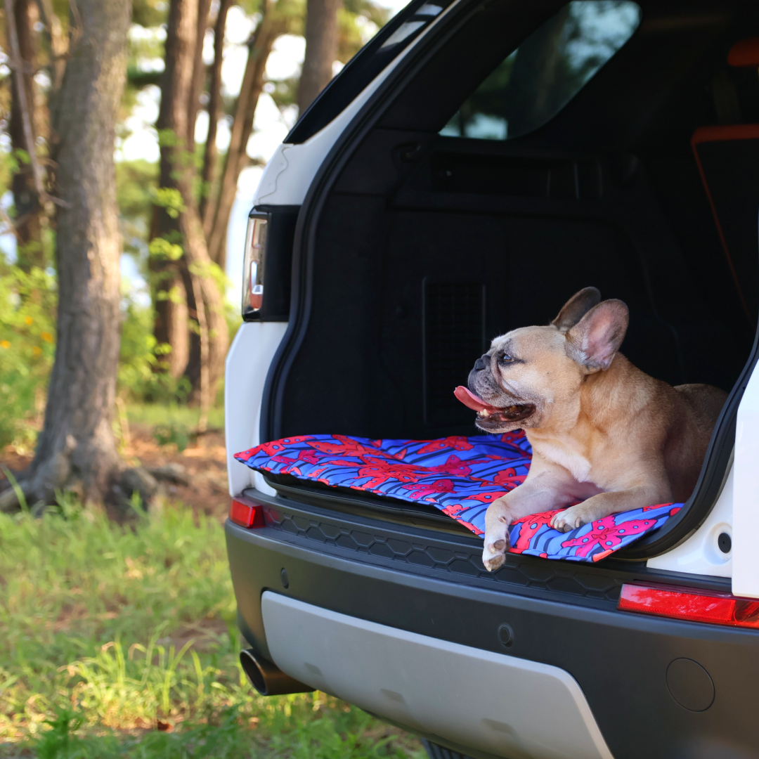 Calming Travel Mat